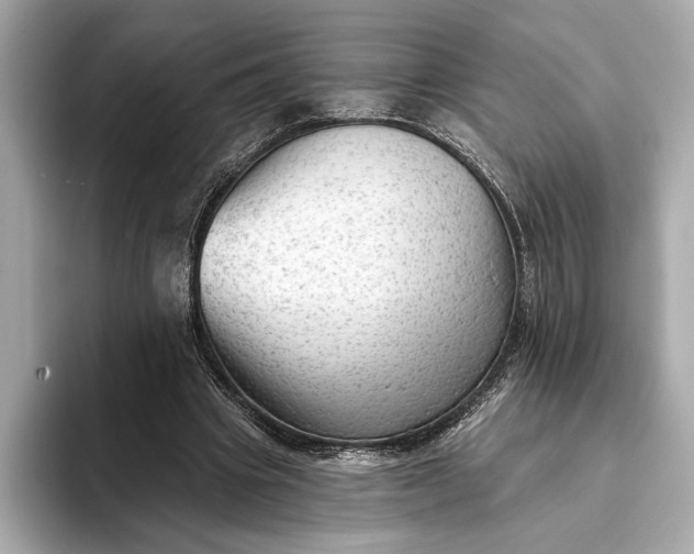 X0000093420441200710261002