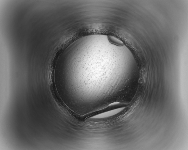 X0000093420450200710261002