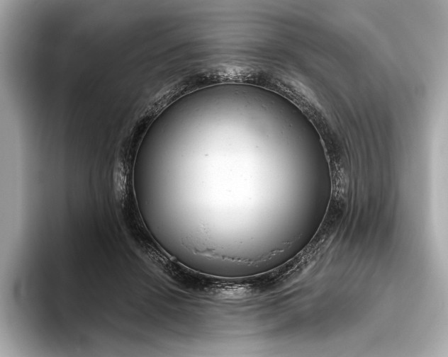 X0000093420456200710261002