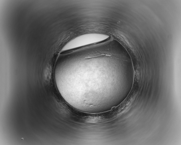 X0000093420458200710261002