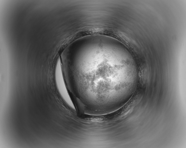 X0000093420462200710261002