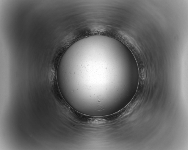 X0000093420463200710261002