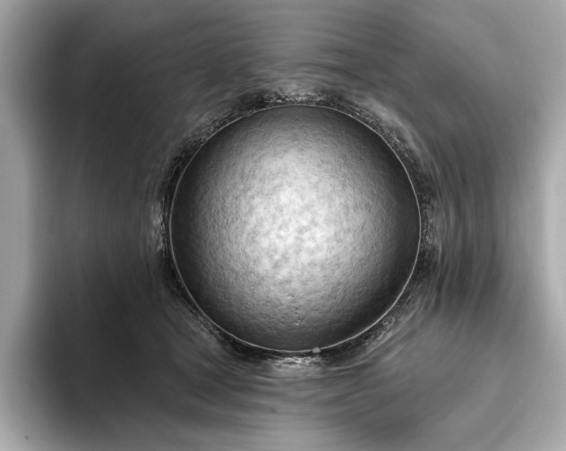 X0000093420465200710261002