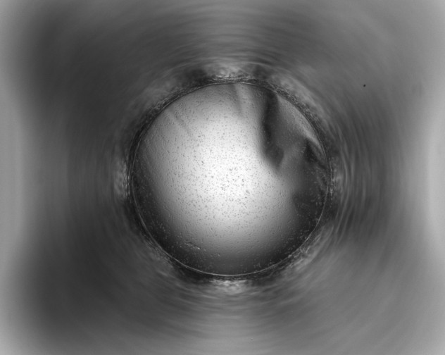 X0000093420469200710261002