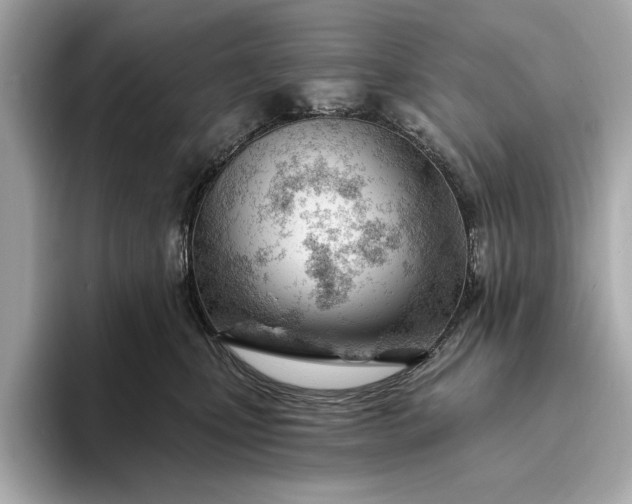 X0000093420471200710261002