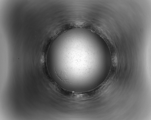 X0000093420472200710261002