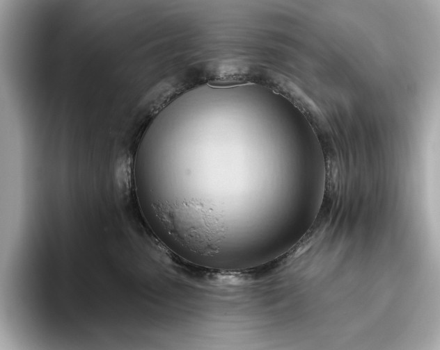 X0000093420475200710261002