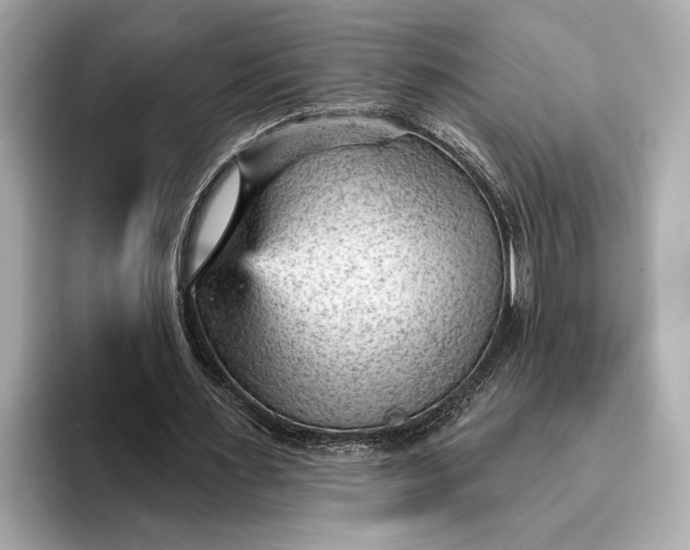 X0000093420483200710261002