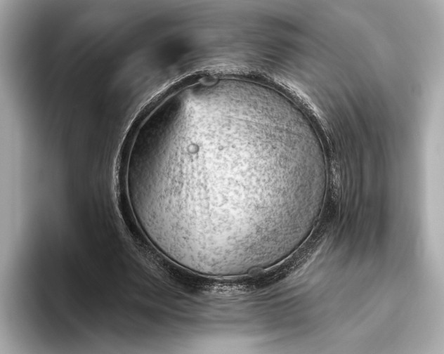 X0000093420487200710261002