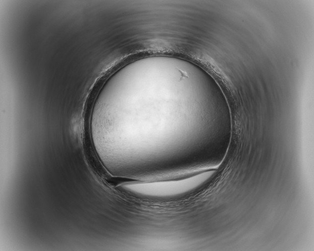 X0000093420488200710261002