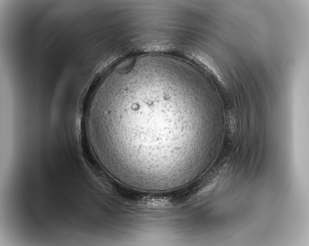 X0000093420491200710261002