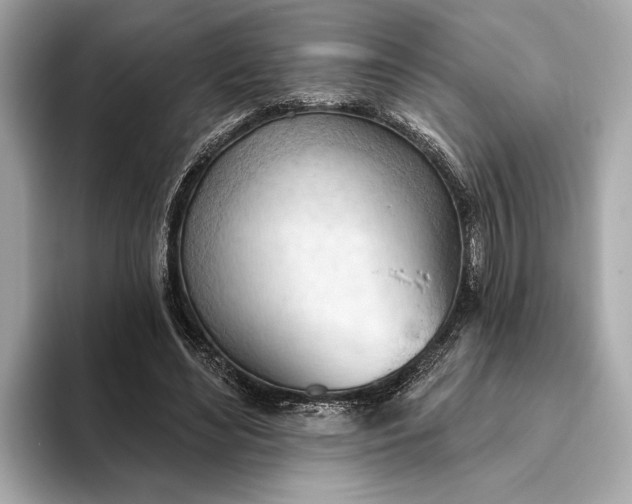 X0000093420492200710261002