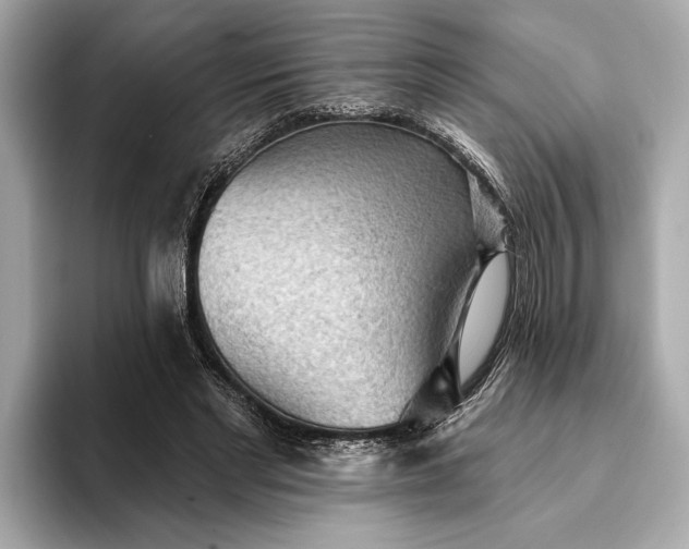 X0000093420493200710261002