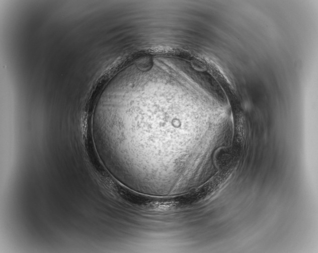 X0000093420495200710261002