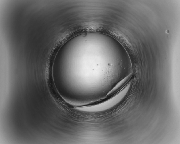 X0000093420496200710261002