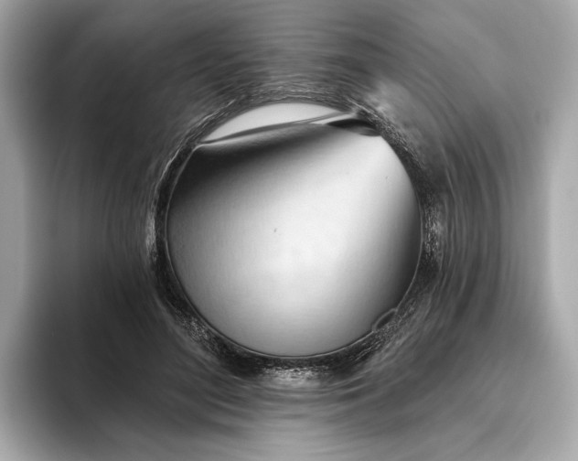 X0000093420500200710261001