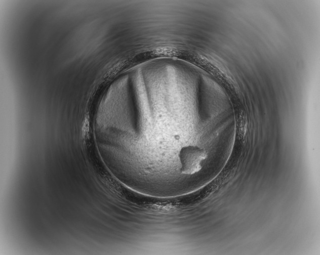 X0000093420502200710261001