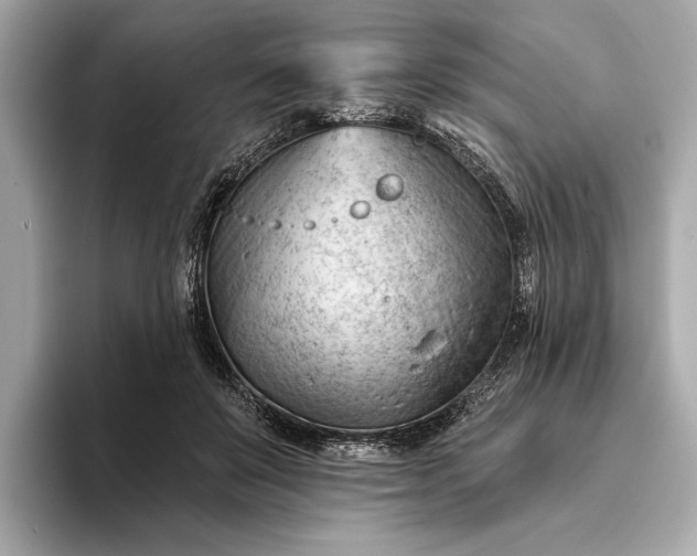 X0000093420503200710261001