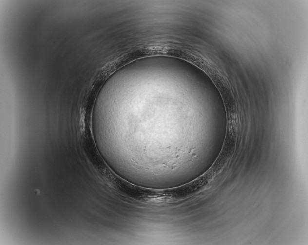 X0000093420504200710261001