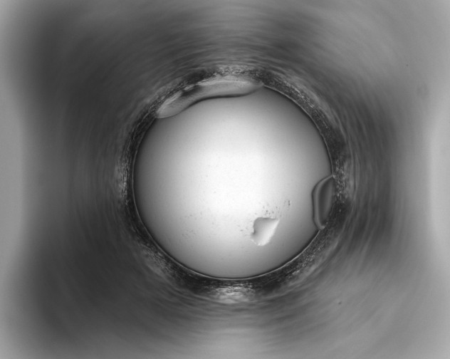 X0000093420505200710261001