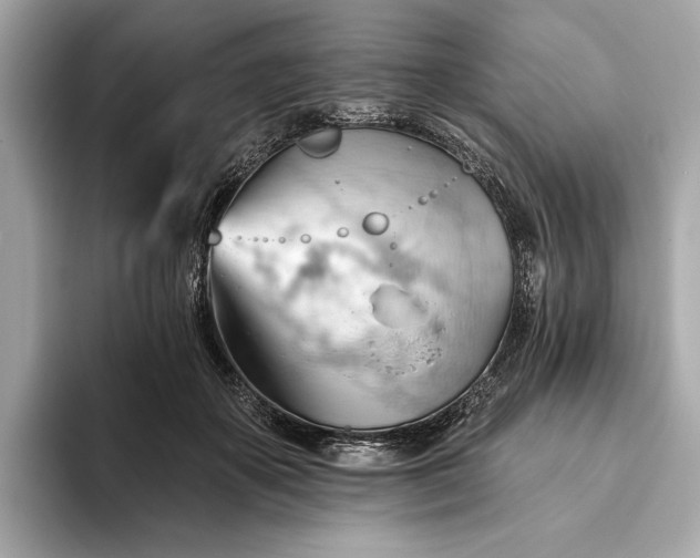 X0000093420507200710261001