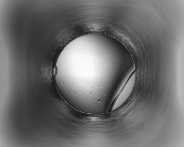 X0000093420509200710261001