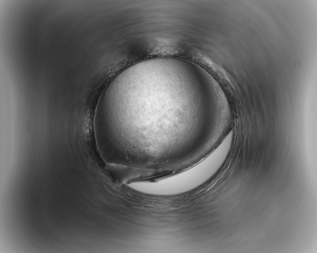 X0000093420517200710261001