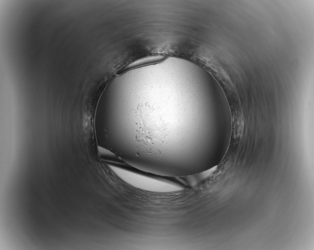 X0000093420521200710261001