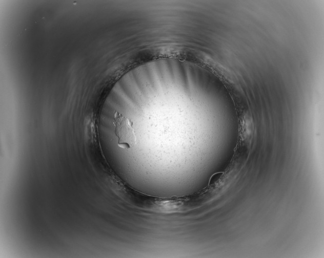 X0000093420522200710261001