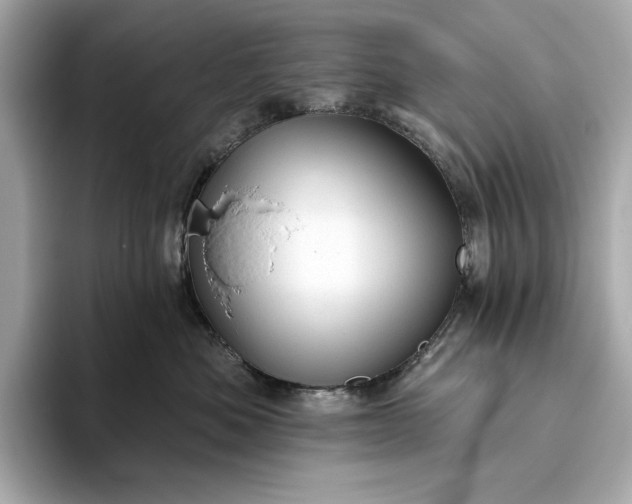 X0000093420525200710261001