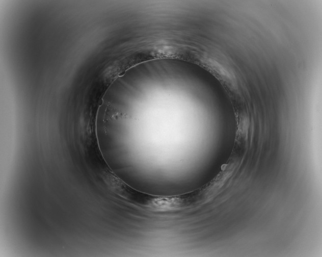 X0000093420526200710261001