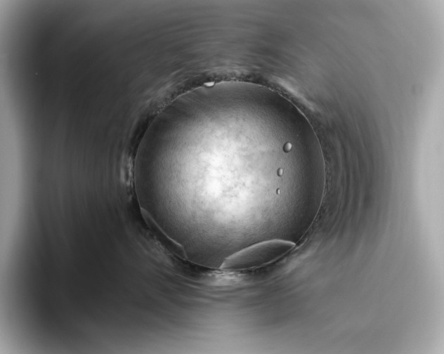 X0000093420528200710261001