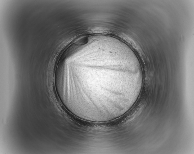 X0000093420529200710261000