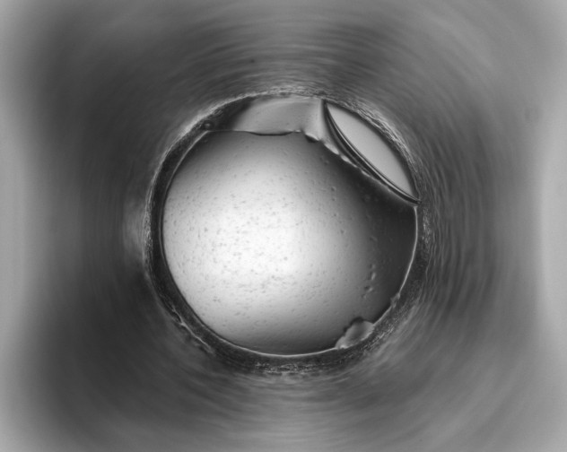 X0000093420532200710261001