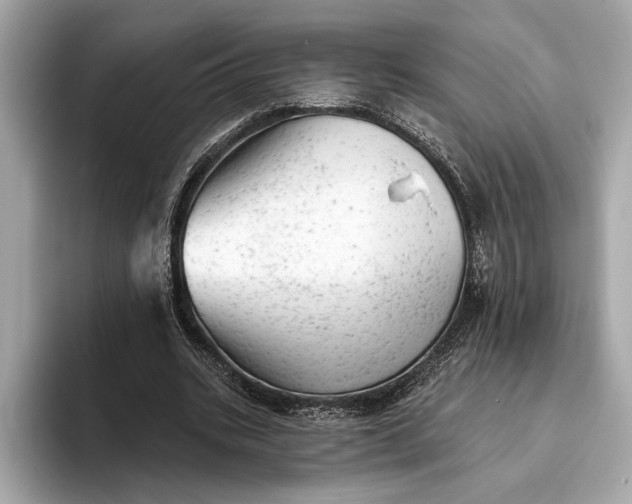 X0000093420535200710261001