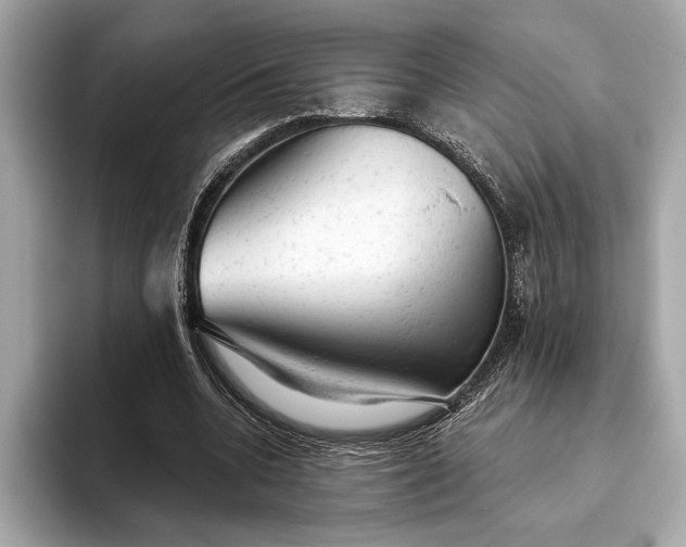 X0000093420536200710261001