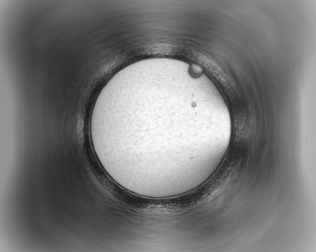 X0000093420538200710261001