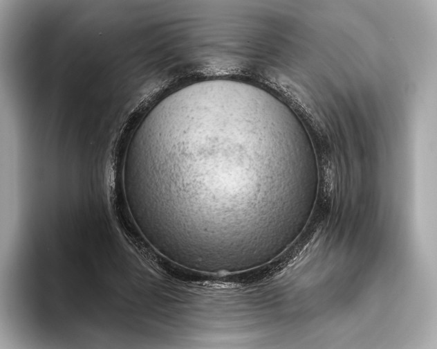 X0000093420539200710261001