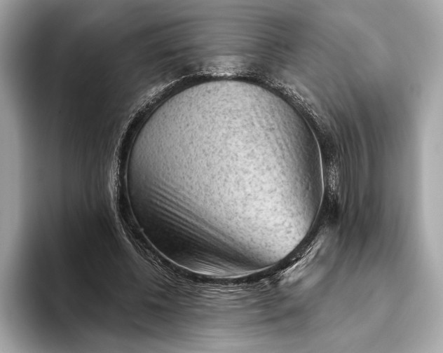 X0000093420540200710261001