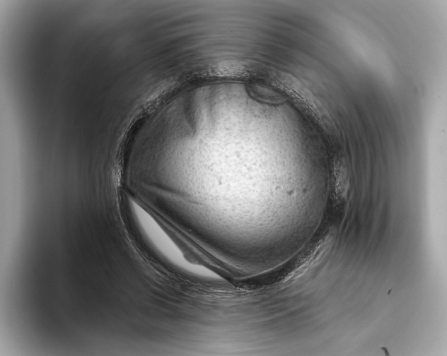 X0000093420542200710261001