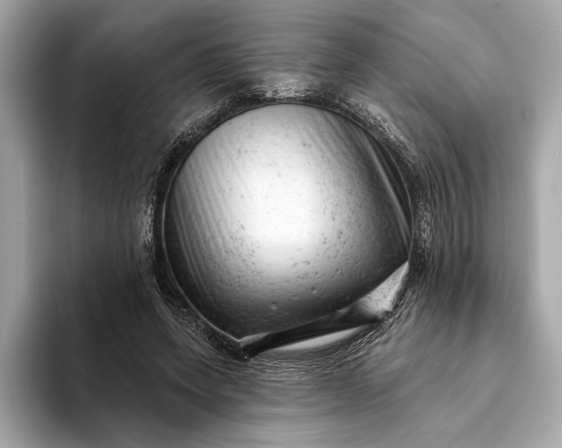 X0000093420543200710261001