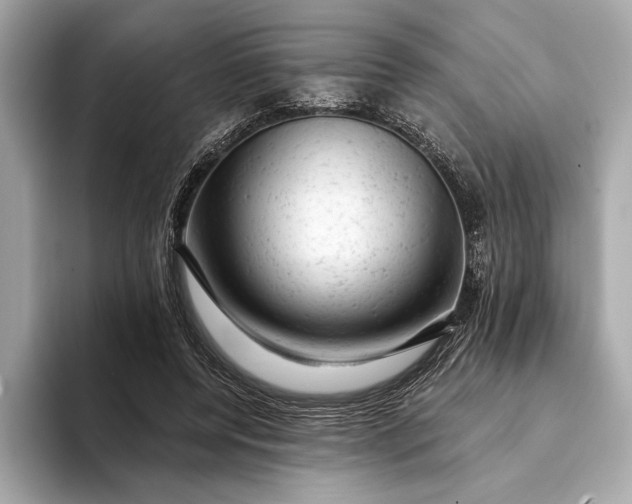 X0000093420544200710261001