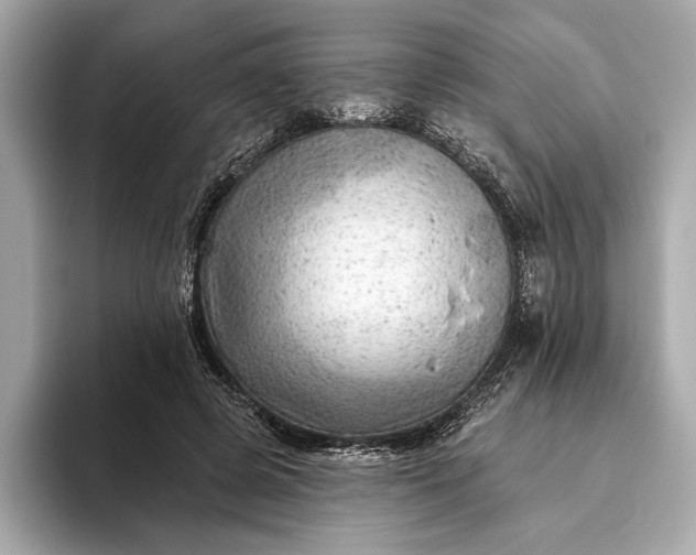 X0000093420545200710261001