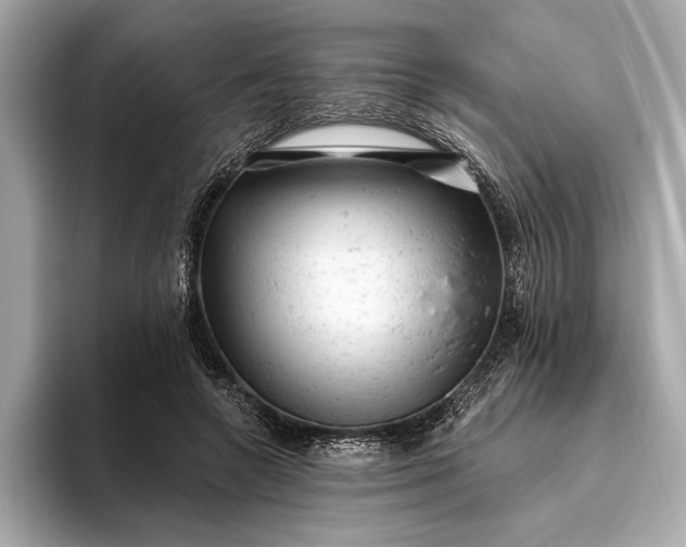 X0000093420546200710261001