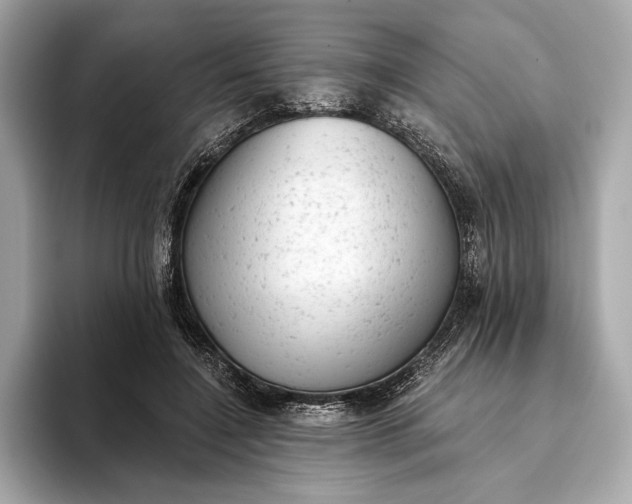 X0000093420548200710261001