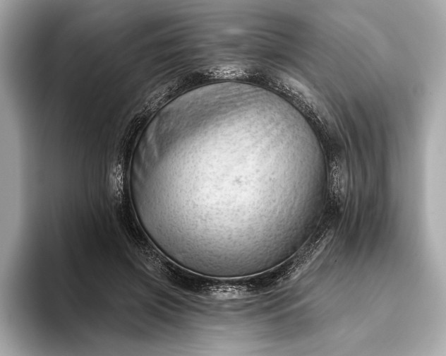 X0000093420549200710261001