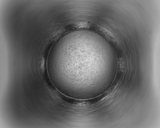 X0000093420550200710261001