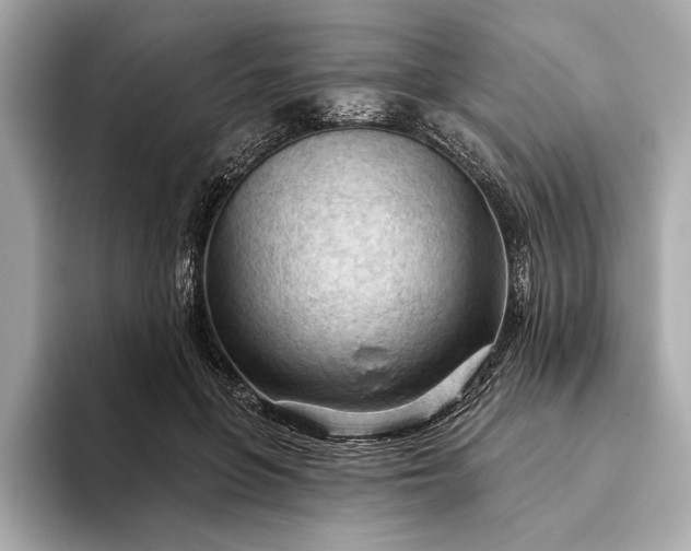 X0000093420551200710261001