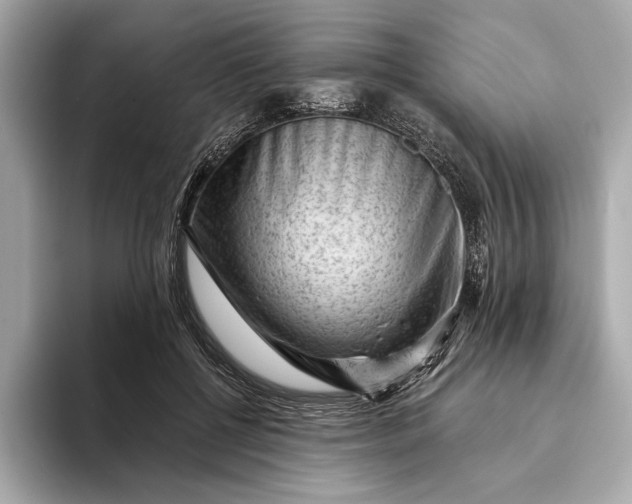 X0000093420552200710261001