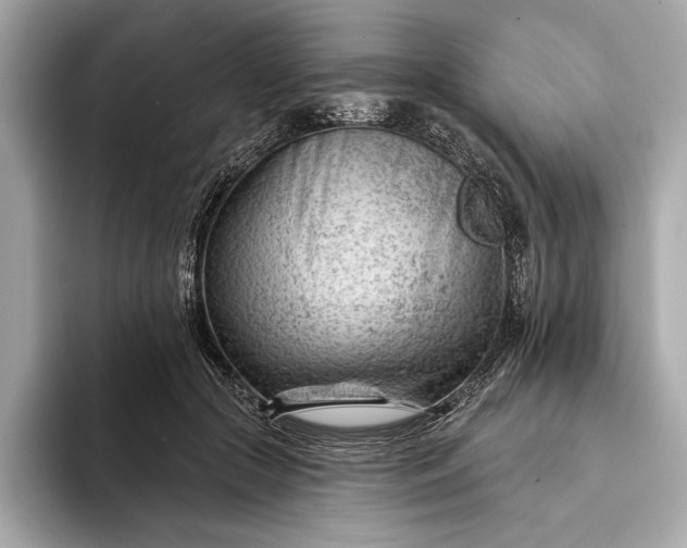 X0000093420553200710261001